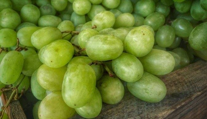 Польза и вред виноградных косточек для организма человека