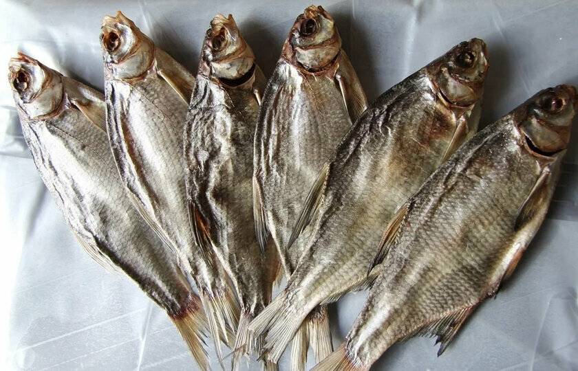 Сушеная рыба — польза и вред для здоровья