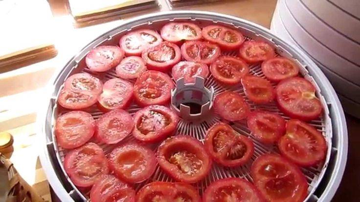 Как можно заготовить сушеные помидоры: все способы.  интересные рецепты блюд с сушеными помидорами