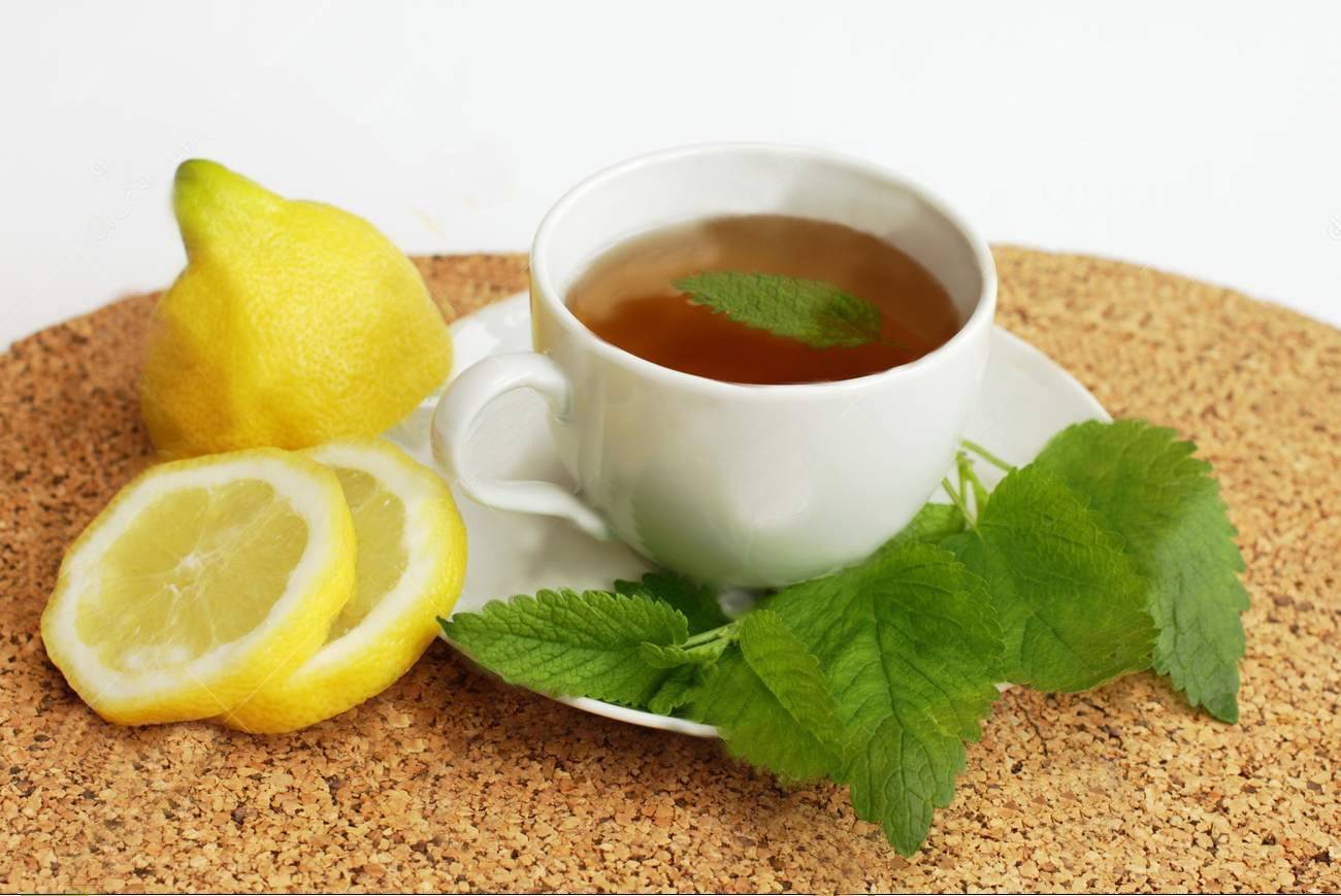 Показания и противопоказания к применению мелиссы лимонной