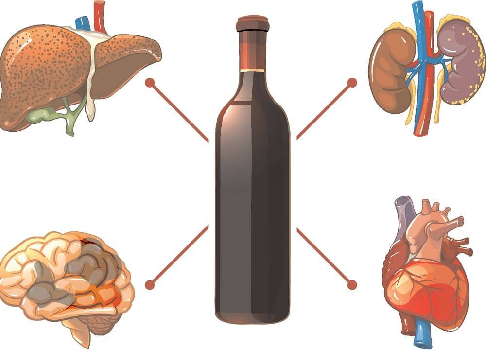 Как влияет водка на организм человека