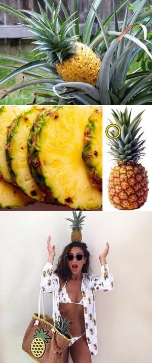Польза ананаса