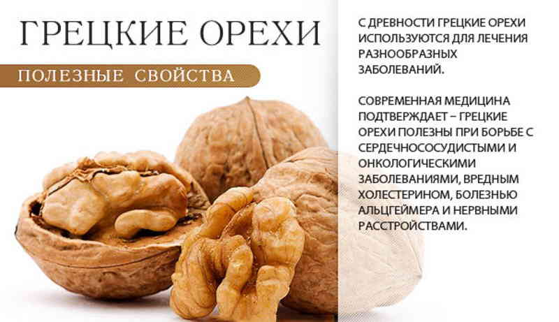 Чем полезны перегородки грецкого ореха, противопоказания