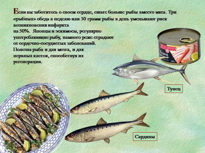 Рыба салака: польза и вред для организма