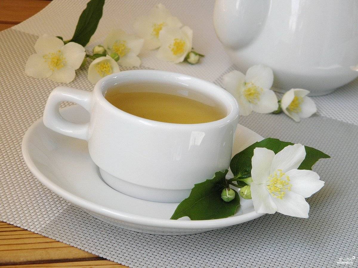 Жасмин и жасминовый чай: полезные свойства, противопоказания