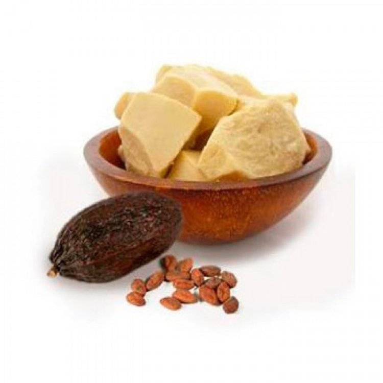 Масло какао, польза и вред продукта, применение в медицине и косметологии