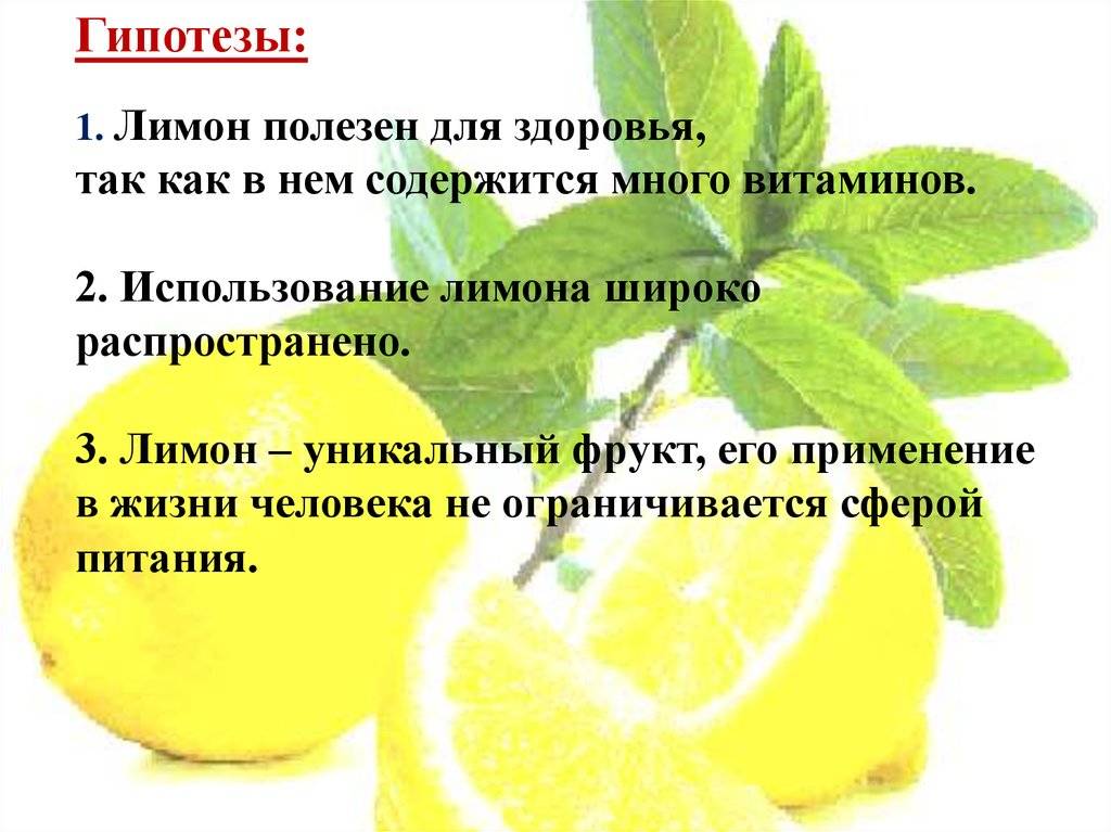 “лимон — свойства и рецепты, польза и вред продукта для организма”