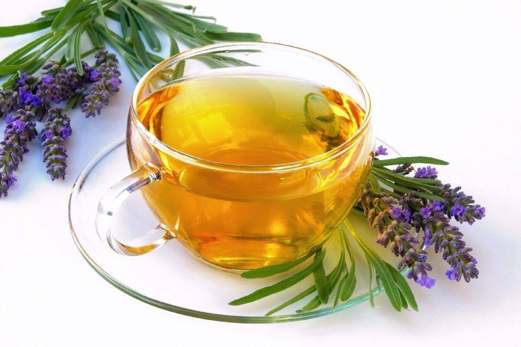 Чай с лавандой польза и вред, 10 основных полезных свойств