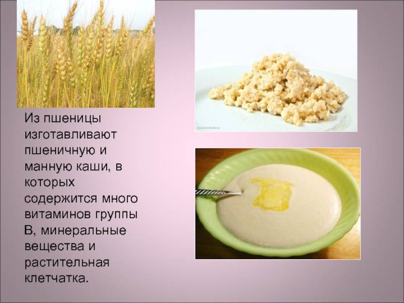 Польза пшеничной каши – исконно русского блюда