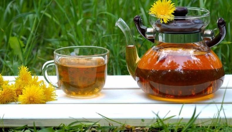 Какая польза от употребления чая из одуванчиков?