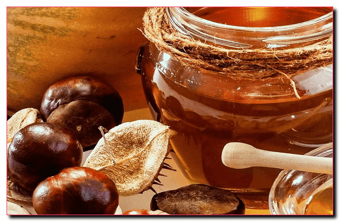 Свойства и целебный эффект мёда из каштана