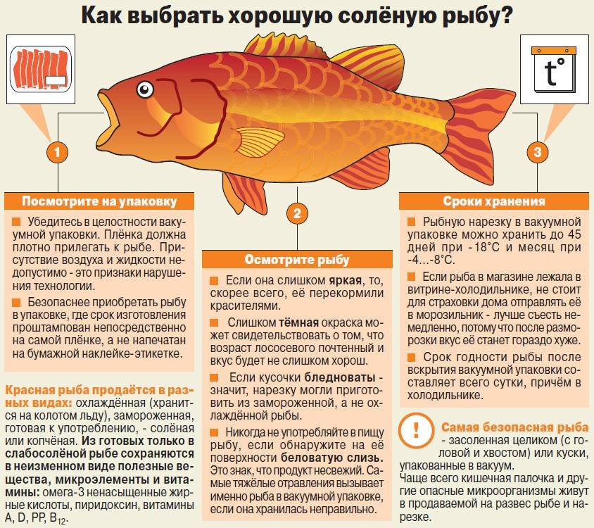 Вы точно знаете, какая рыба полезнее?