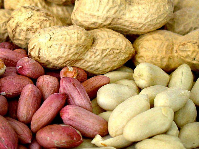 Чем полезен арахис при беременности