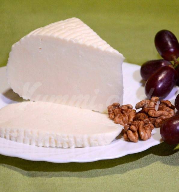 Адыгейский сыр. калорийность, польза и вред, состав, жирность. рецепты, как готовить жареный, копченый, нежный из молока, кефира, творога