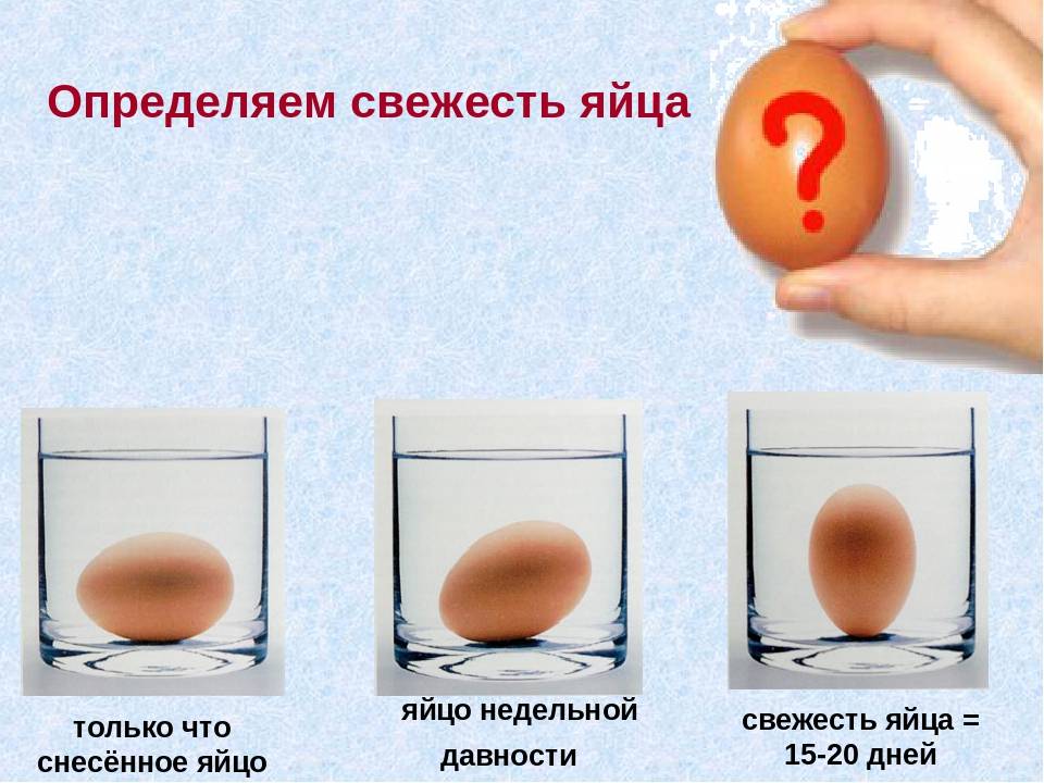 Какие существуют способы проверки свежести куриных или перепелиных яиц