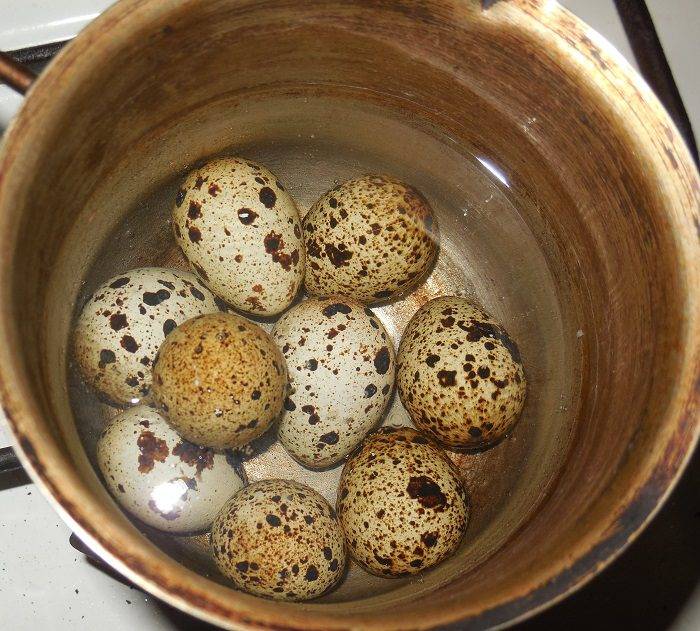 Как и сколько варить перепелиные яйца