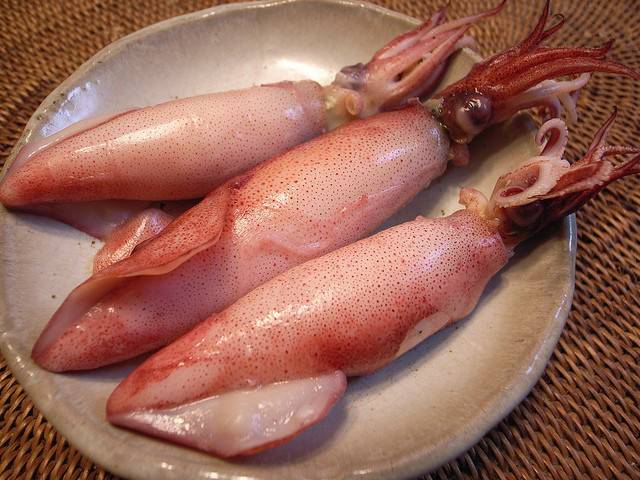 Витамины и питательная ценность кальмаров – как «морской женьшень» повышает либидо?