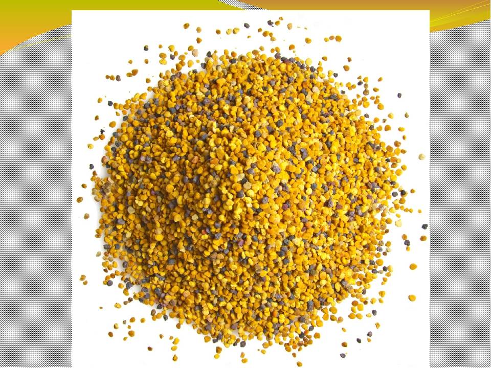 Цветочная пыльца: полезные свойства и противопоказания, как принимать