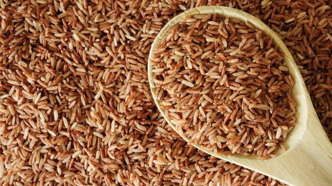 Бурый рис — польза и противопоказания. как правильно готовить бурый рис?