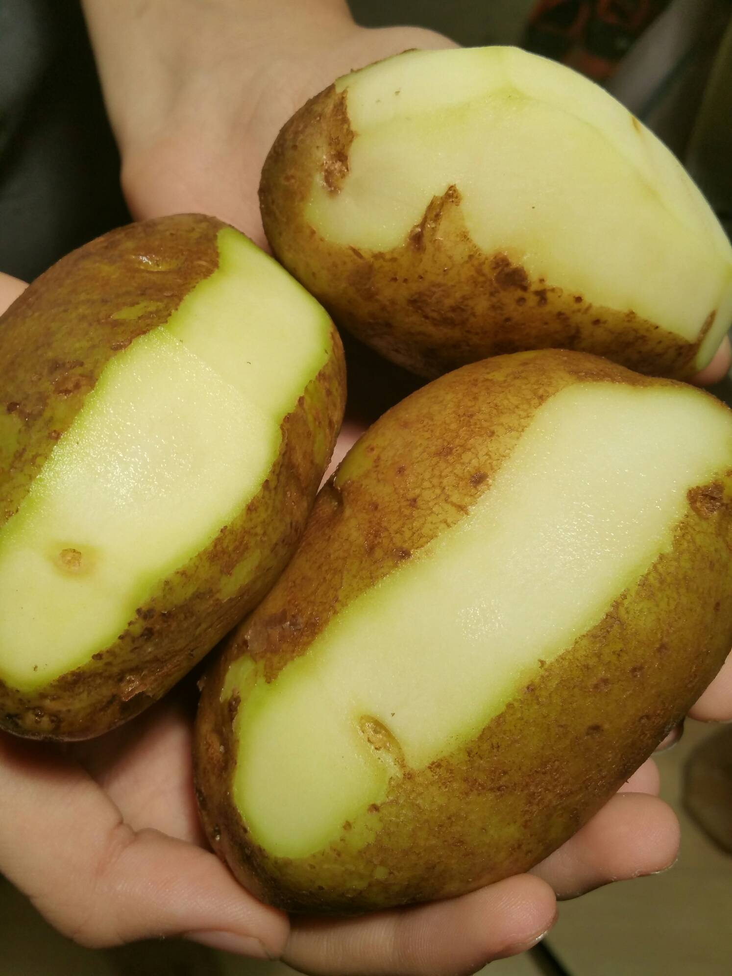 Проросший, треснувший, зеленый – какой картофель опасен для здоровья