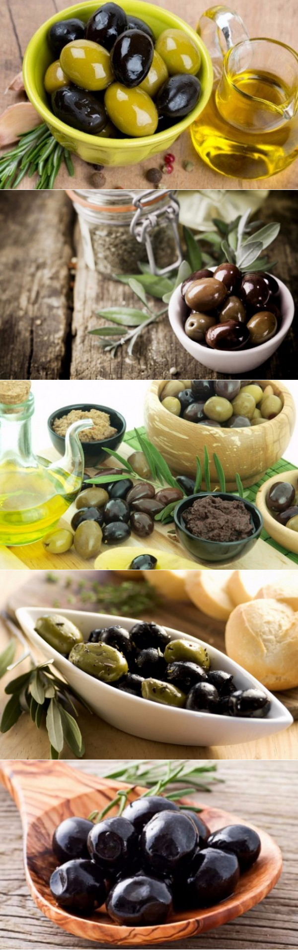 Польза и вред маслин для организма человека