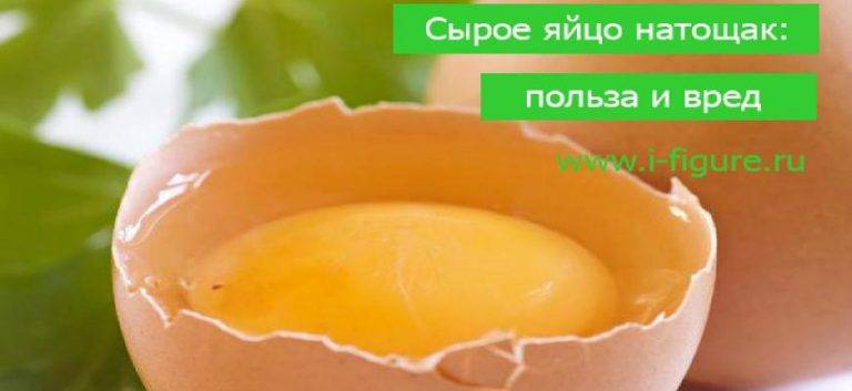 Пить сырые яйца натощак. Сырой желток полезный или нет. Польза сырых яиц для организма. Желток яйца польза и вред.