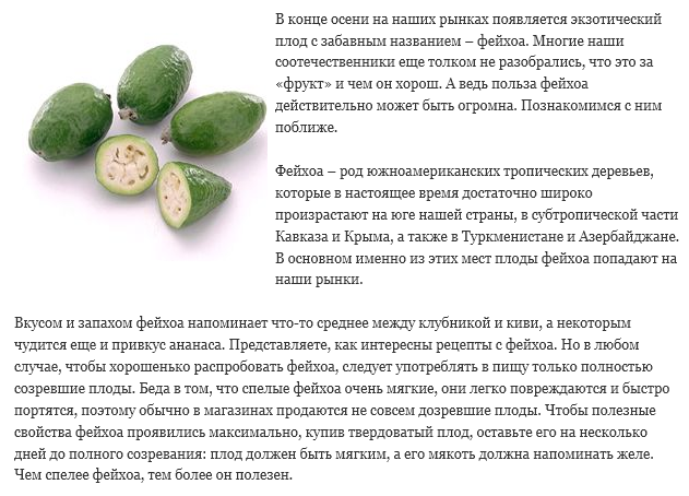 Фейхоа фрукт: фото, описание, как выбрать и как есть, вкусные рецепты