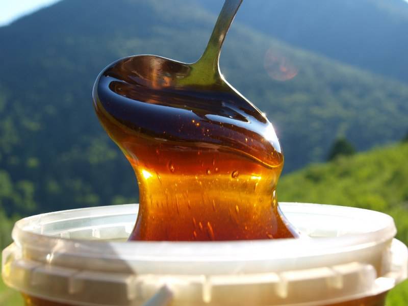 Горный мед: чем полезен, кому может навредить, как отличить от подделки