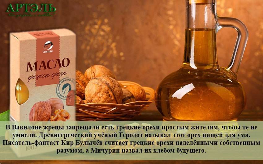 Масло грецкого ореха — полезные свойства и противопоказания, вред и как принимать?