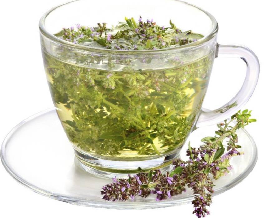 Чай из душицы: полезные свойства и противопоказания