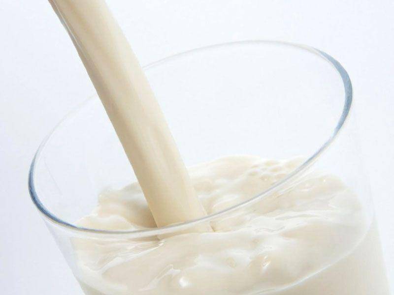 Польза и вред сухого молока для здоровья организма человека