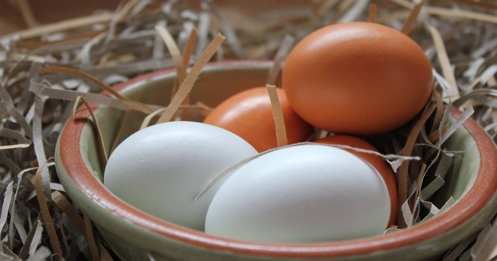 Какие куриные яйца лучше — коричневые или белые?