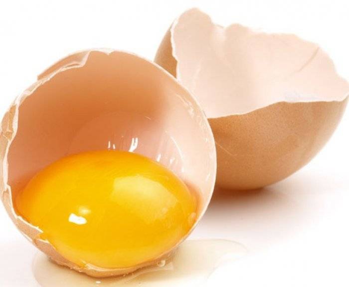 Что полезнее в яйце желток или белок?