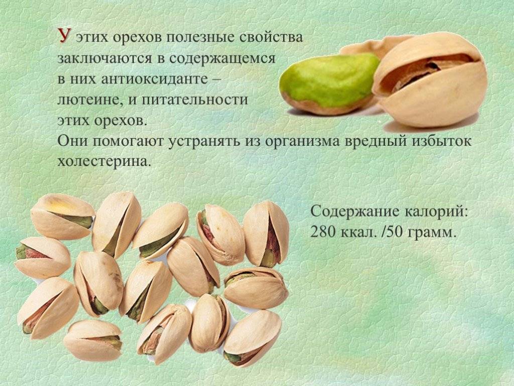 Свойства, польза и вред грецких орехов для женщин. советы по употреблению и рецепты средств