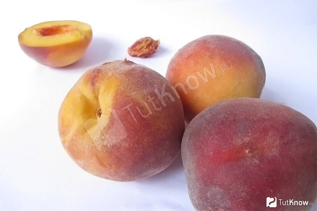 Персики – польза и вред для организма, противопоказания