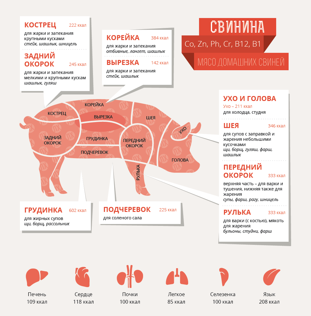 Чем полезно и вредно красное мясо: обзор исследований