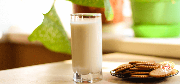Польза и вред парного молока. почему этот продукт не всегда можно пить?