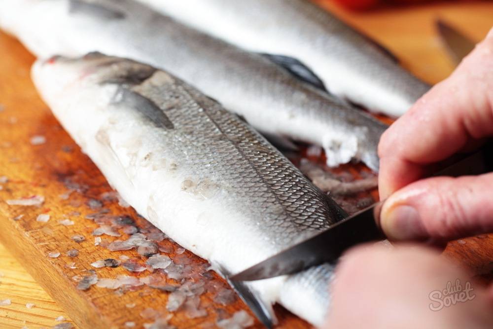 Как быстро почистить рыбу от чешуи? нож для чистки рыбы