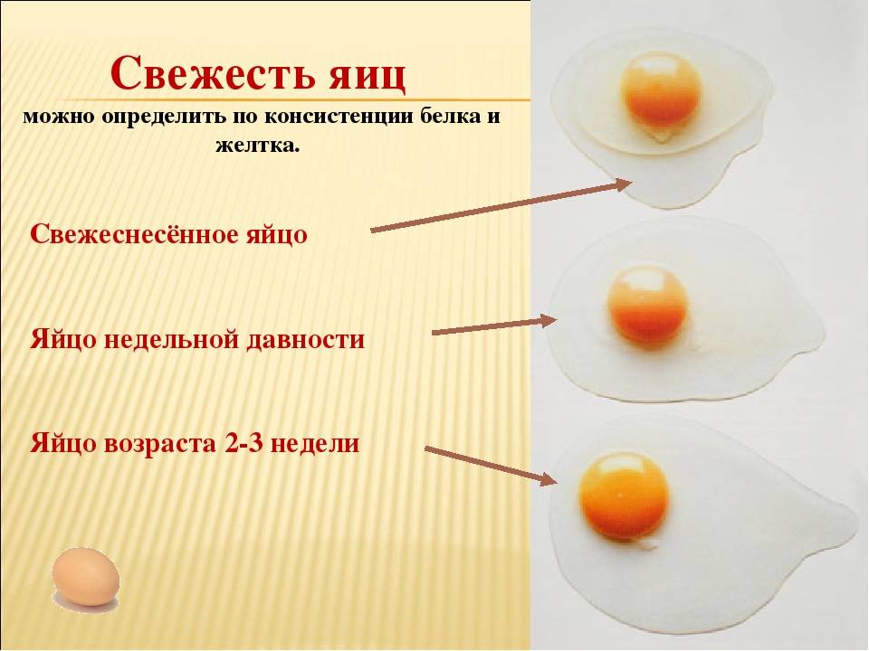 Как проверить яйца на свежесть дома
