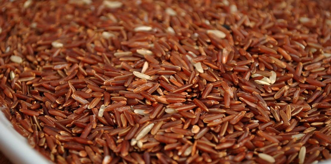Красный рис – полезные свойства, противопоказания, особенности вида