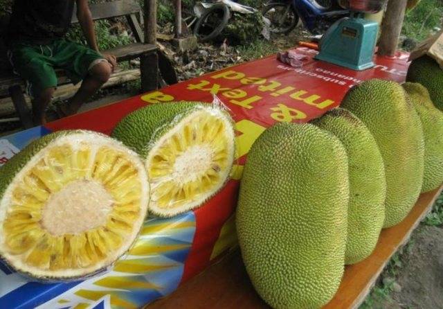 Польза дуриана: описание фрукта, особенности, противопоказания и применение дуриана (105 фото)