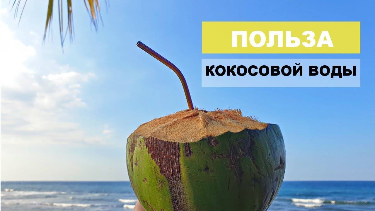 Плод «дерева лентяев»: чем полезен кокос и что известно об этих псевдоорехах?