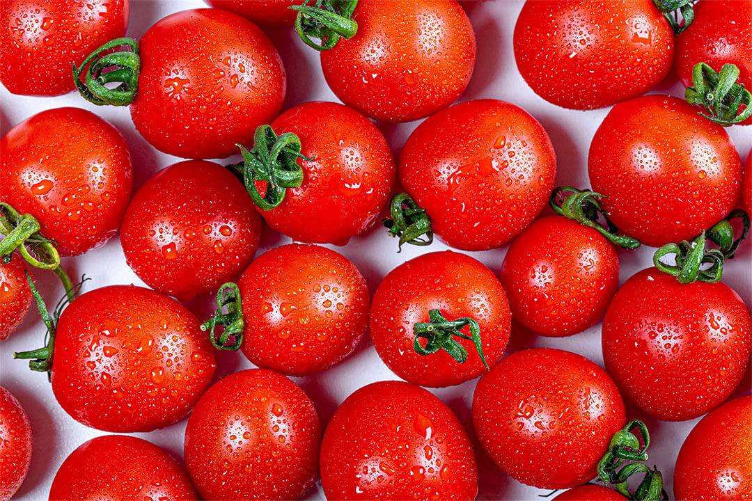 Зеленые помидоры — польза и вред для организма. зеленые помидоры польза и вред для организма