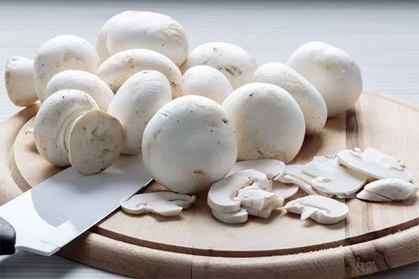 Разрешается ли есть грибы при грудном вскармливании