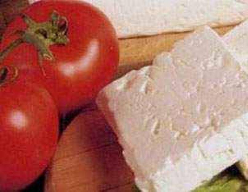 Сыр, польза и вред для организма человека