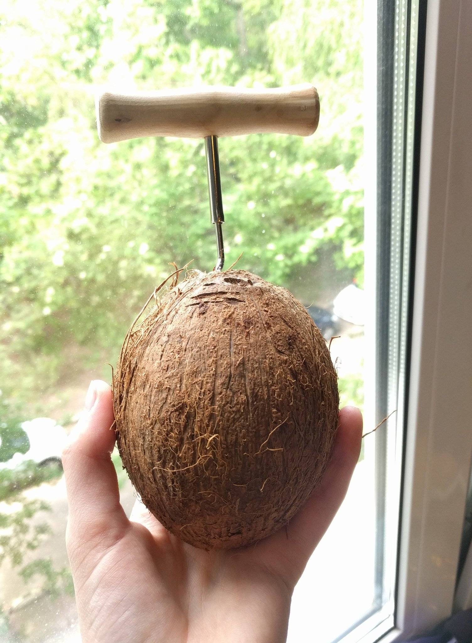 Как разделывать и употреблять кокос в домашних условиях