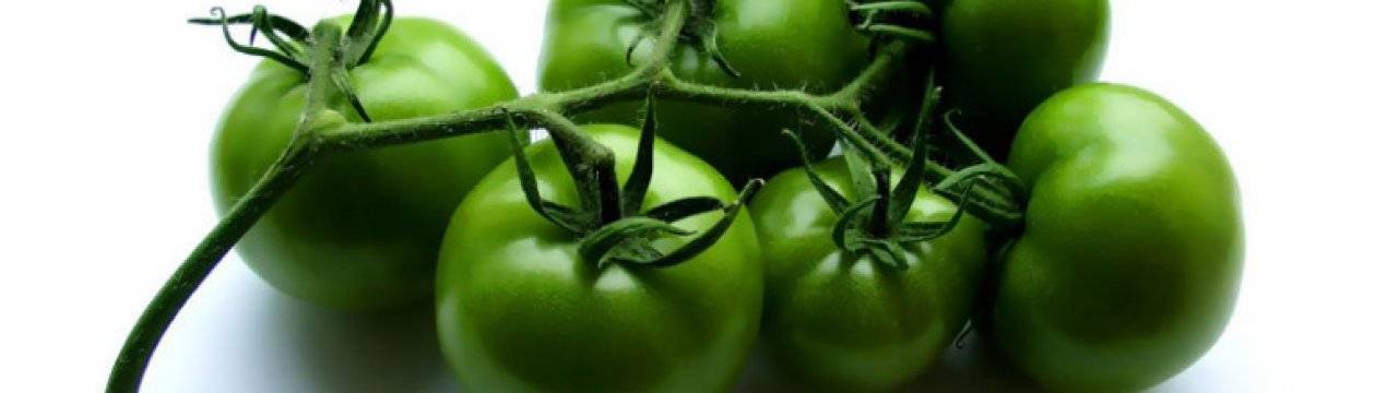 Польза и вред для организма от употребления зеленых помидор и можно ли их есть?