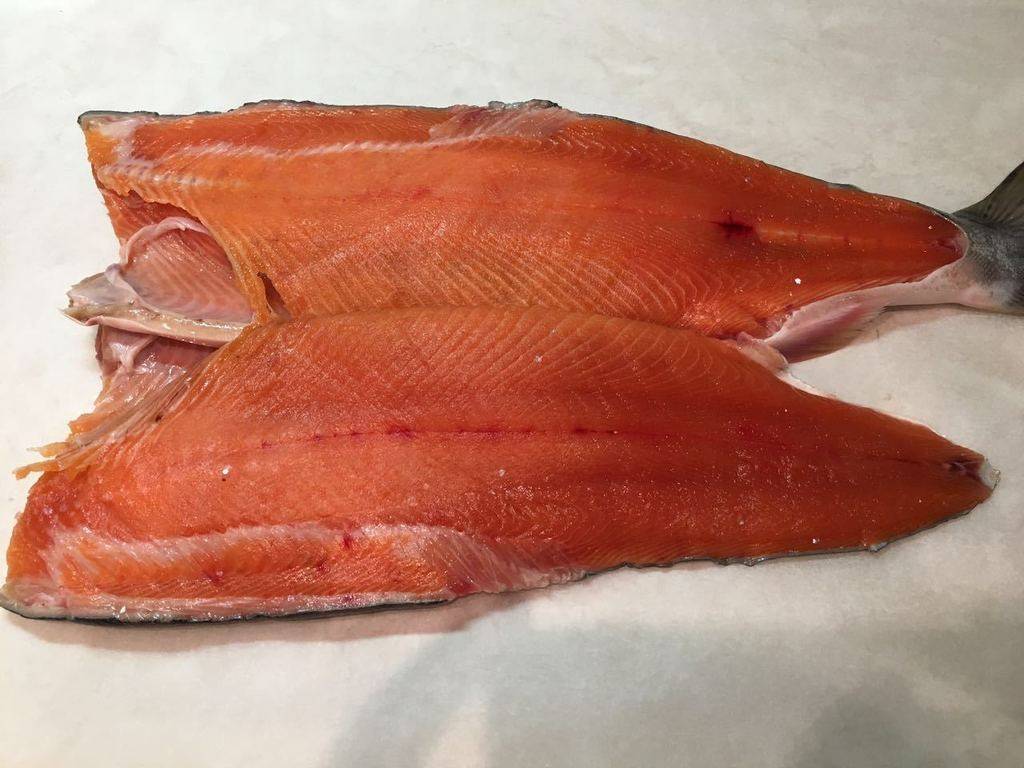 Полезные свойства горбуши — показания и противопоказания к применению мяса рыбы (115 фото + видео)