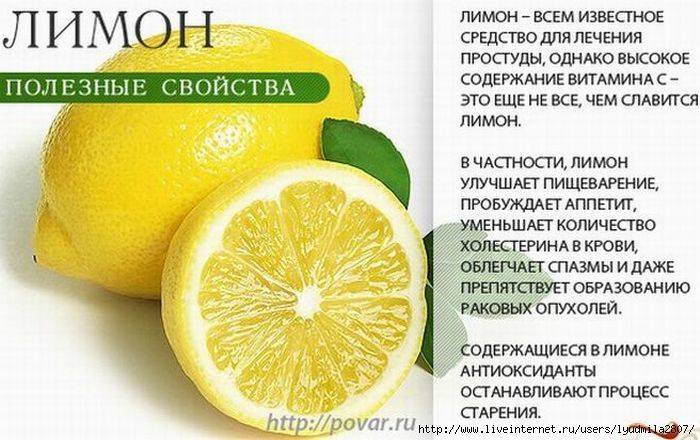 Лимонник китайский: полезные свойства, противопоказания, польза и вред