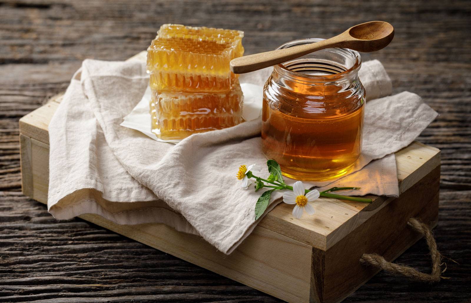 Полезные свойства гречишного меда и противопоказания к употреблению
